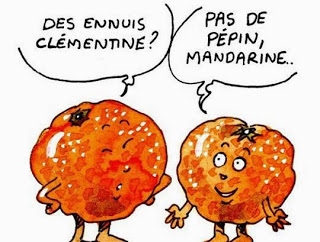 mandarine et clémentine