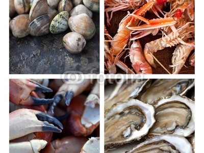 Quelle différence entre coquillages et crustacés?