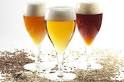 Quelle différence entre la bière blonde, brune ou ambrée?