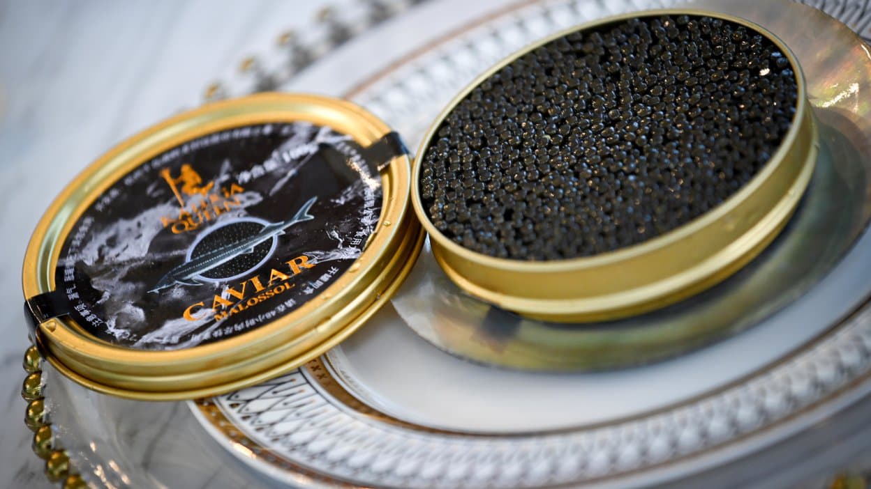 Caviar chinois vs français